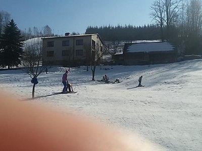 Obrázek 62119 