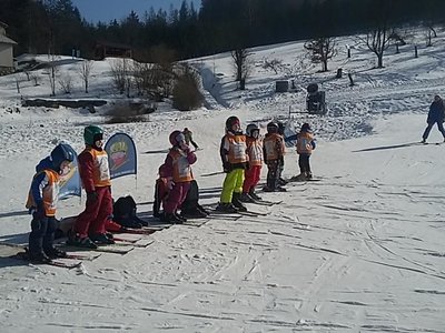 Obrázek 62123 