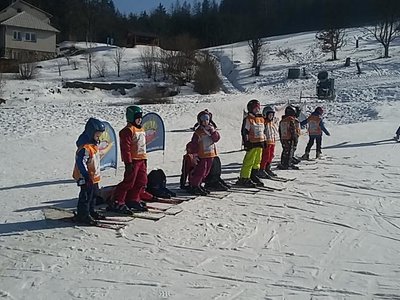 Obrázek 62124 