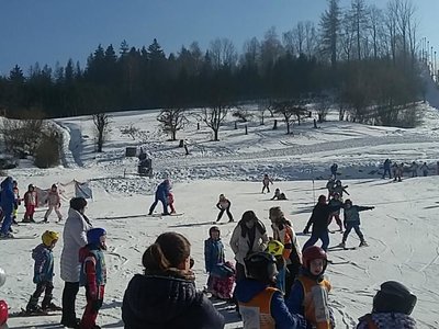 Obrázek 62127 