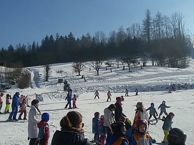 Obrázek 62129 