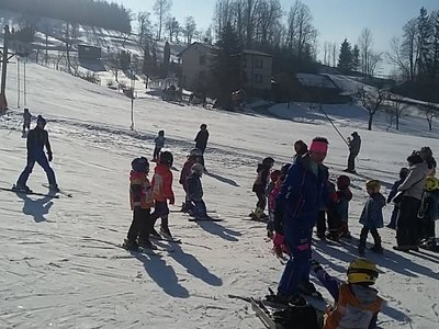 Obrázek 62132 