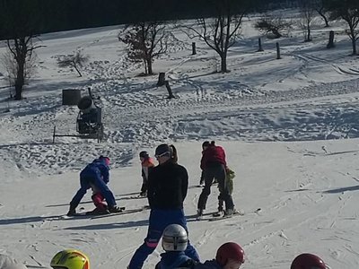Obrázek 62141 