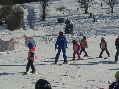 Obrázek 62142 
