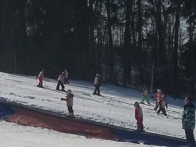 Obrázek 62145 