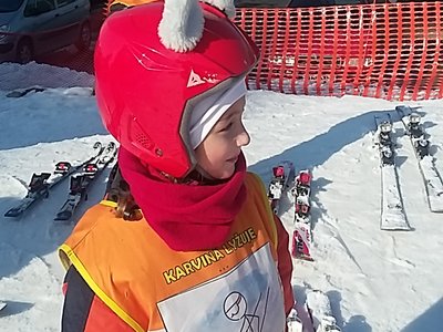 Obrázek 62155 