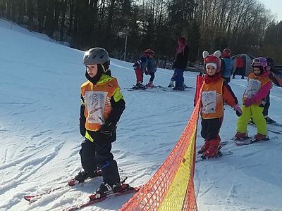 Obrázek 62157 