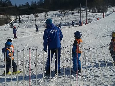 Obrázek 62163 