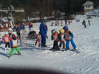 Obrázek 62167 