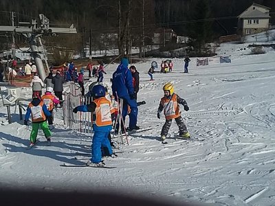 Obrázek 62168 