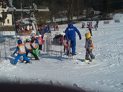 Obrázek 62169 