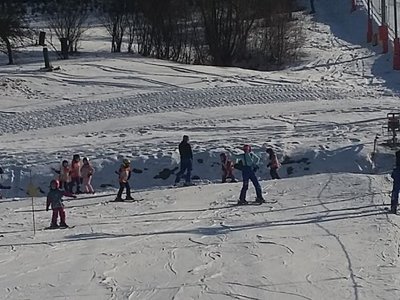 Obrázek 62175 