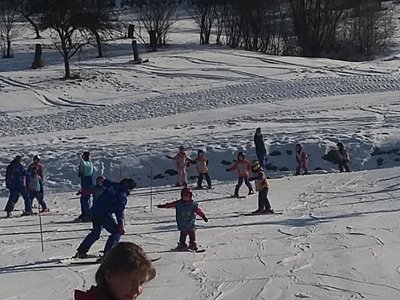 Obrázek 62176 