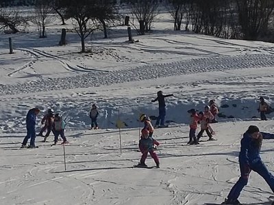 Obrázek 62177 