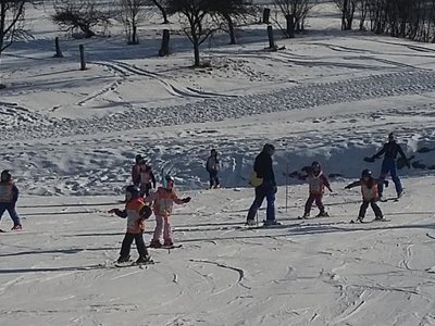 Obrázek 62183 