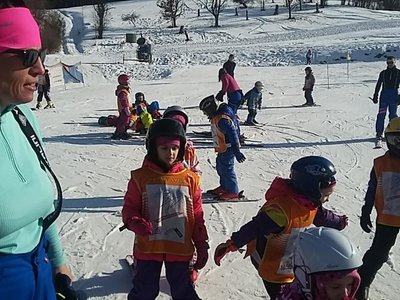 Obrázek 62184 