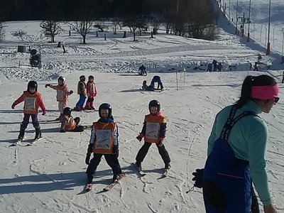 Obrázek 62194 