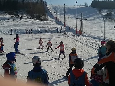Obrázek 62198 