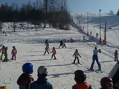 Obrázek 62207 