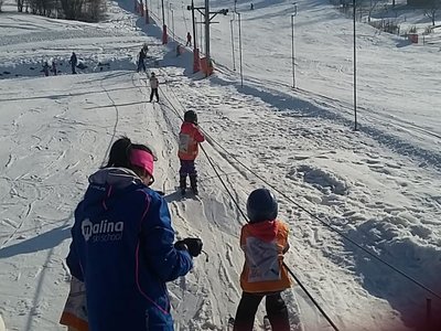 Obrázek 62212 