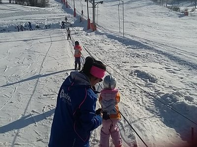 Obrázek 62213 