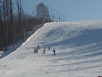 Obrázek 62215 