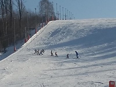 Obrázek 62216 