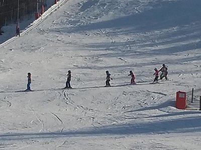 Obrázek 62218 