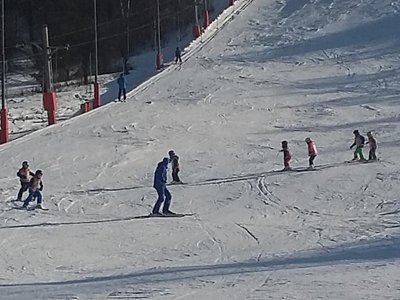 Obrázek 62219 