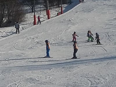 Obrázek 62220 