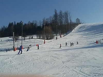 Obrázek 62221 