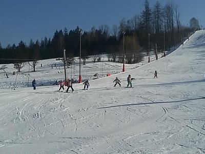 Obrázek 62222 