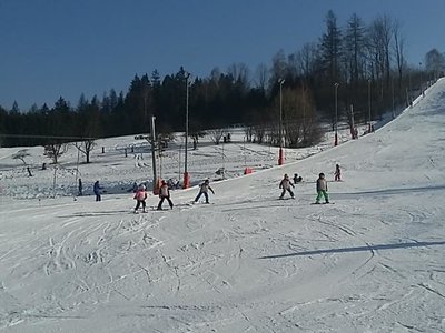 Obrázek 62223 