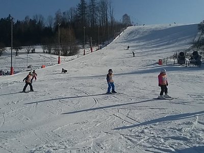 Obrázek 62225 