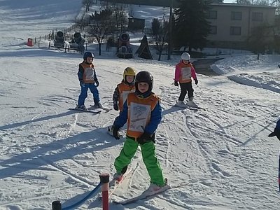 Obrázek 62226 