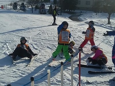 Obrázek 62230 