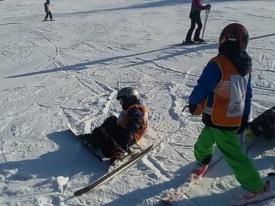Obrázek 62231 