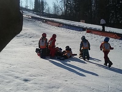 Obrázek 61904 