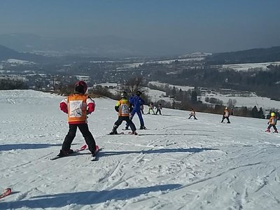 Obrázek 61919 