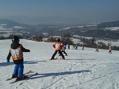 Obrázek 61920 