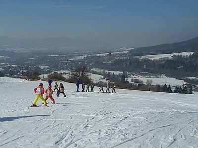 Obrázek 61924 