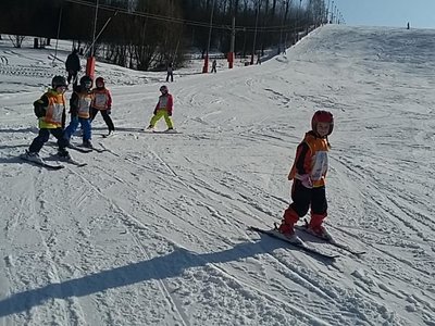 Obrázek 61929 