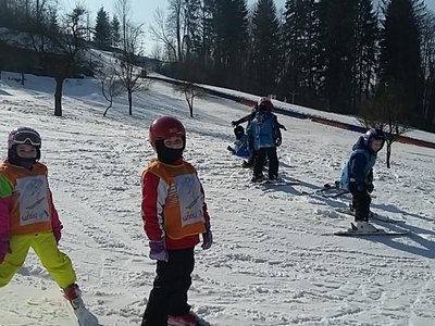 Obrázek 61933 