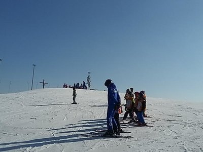 Obrázek 61938 