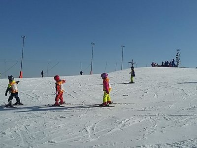 Obrázek 61942 