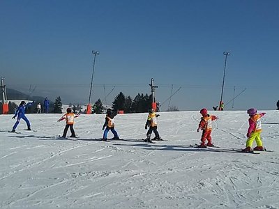 Obrázek 61943 