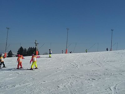 Obrázek 61944 