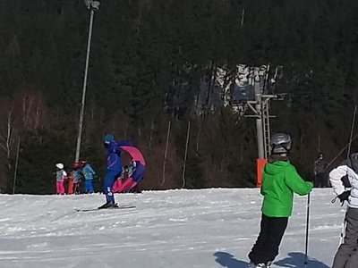 Obrázek 61962 