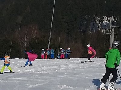 Obrázek 61963 