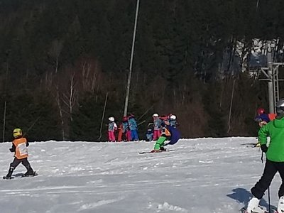 Obrázek 61964 